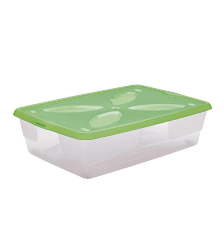 Contenitore plastica con - contenitore,